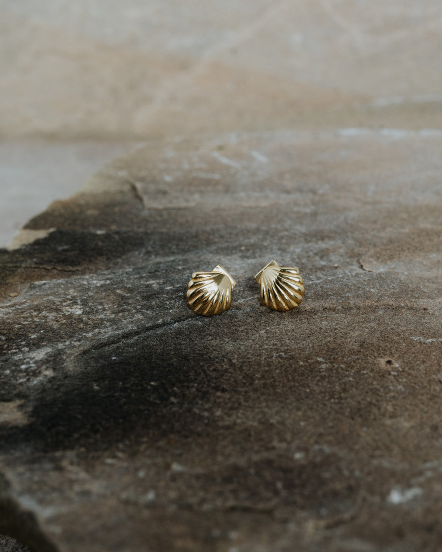 Little Shell Earrings Gold